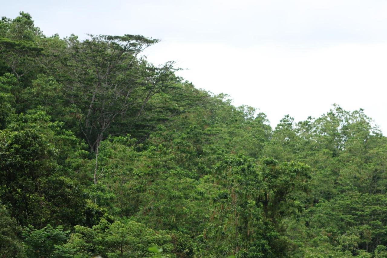Funk Bunk - Mount View Lodge Kandy Esterno foto